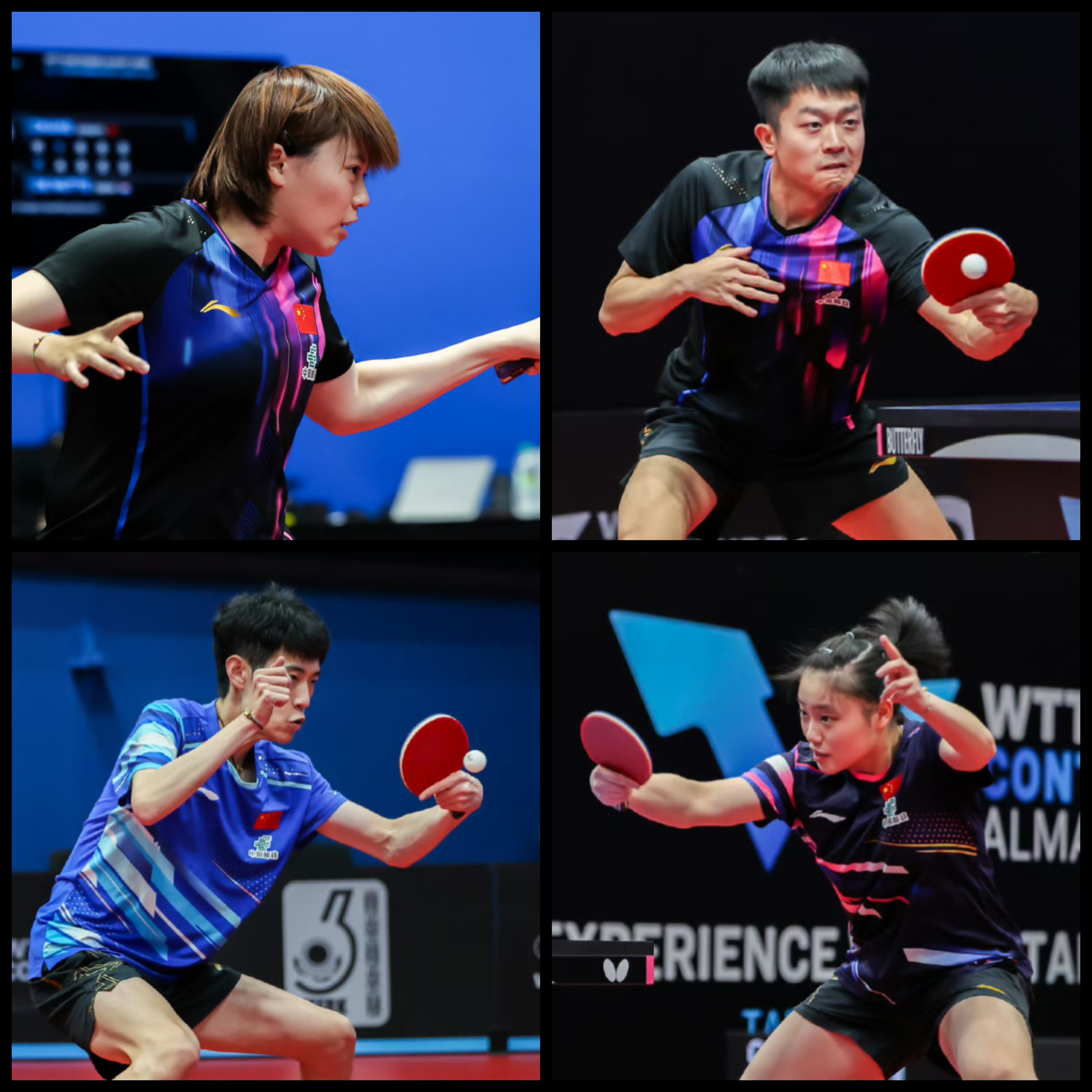 阿尔及利亚选手突围成功，拼搏晋级自由搏击项目决赛