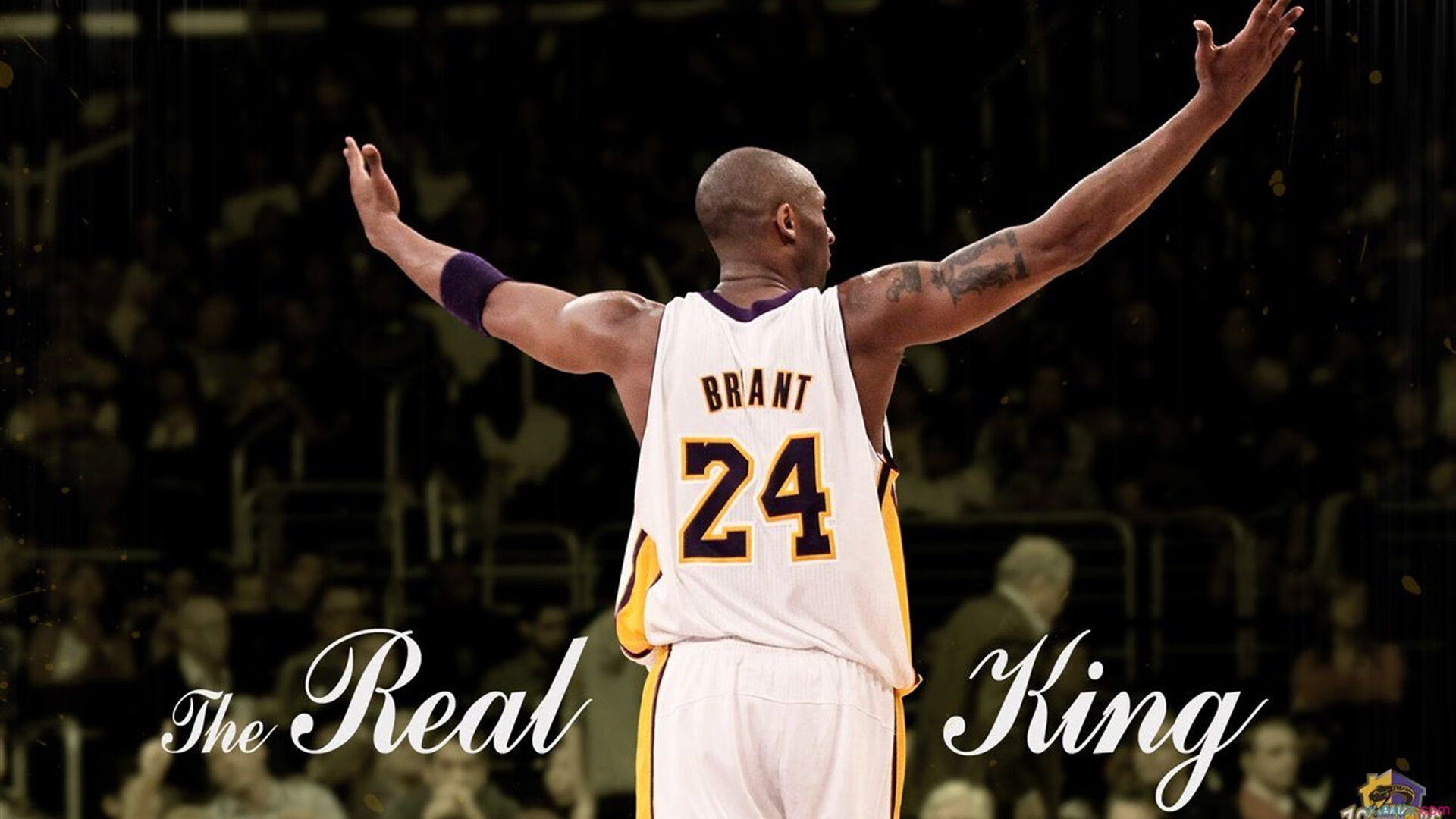 贝恩爆发撕裂防线，勇士式节奏提前终结悬念，森林狼的坚韧为何失效？